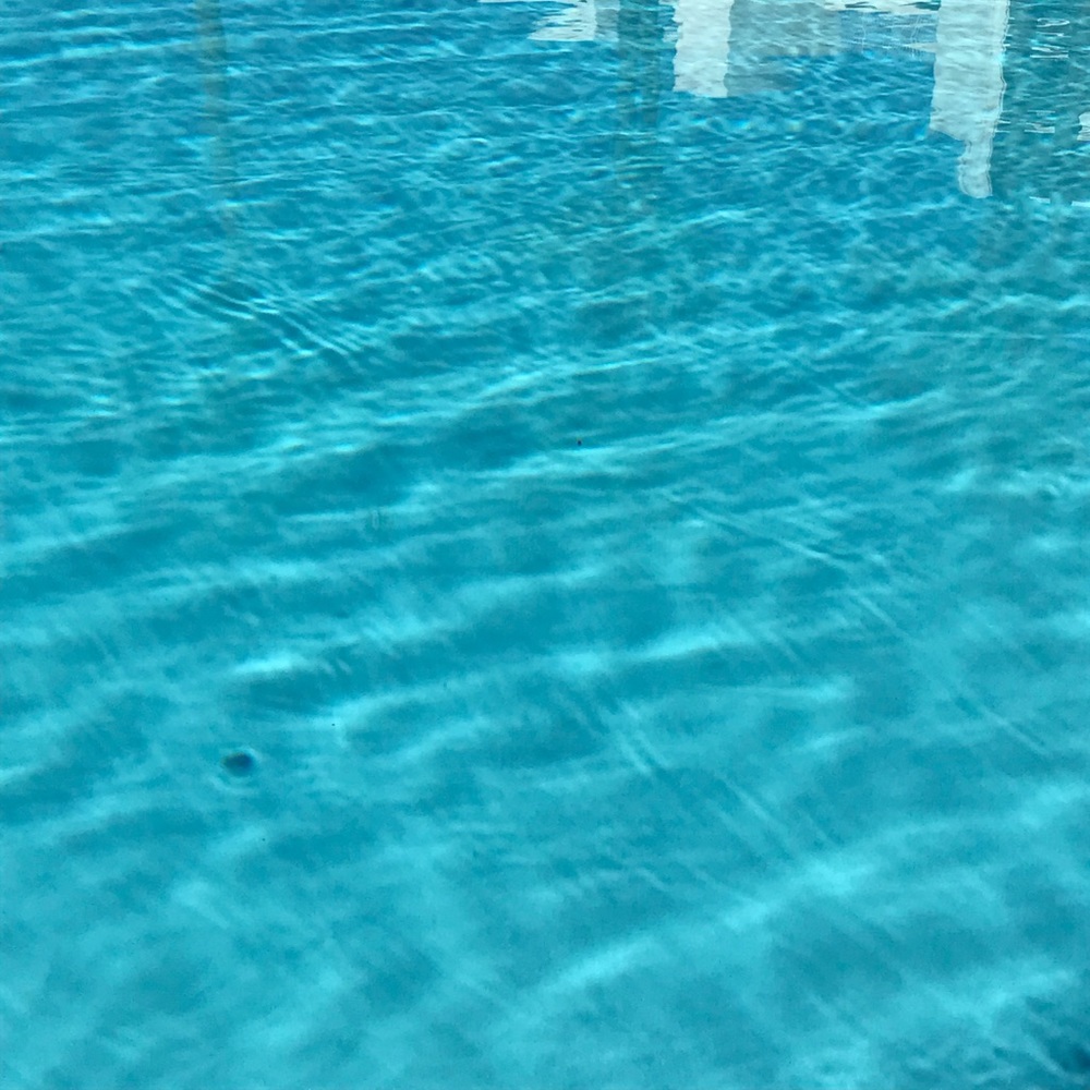 Meet your Posher, Jaida